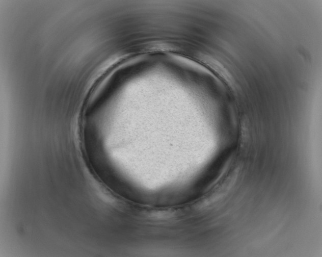 X0000113541047200910091239