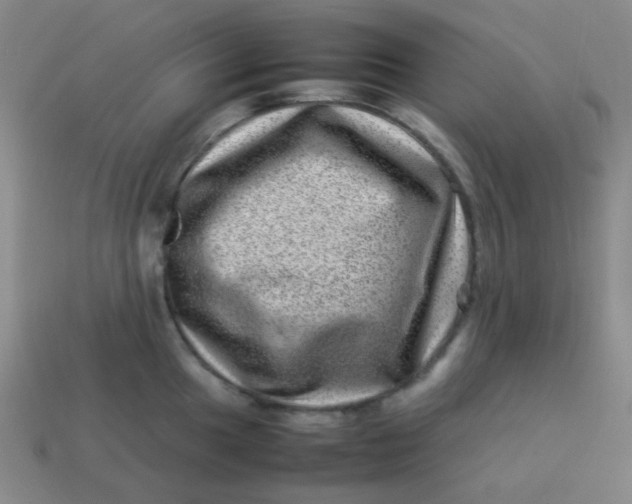 X0000113541049200910091239