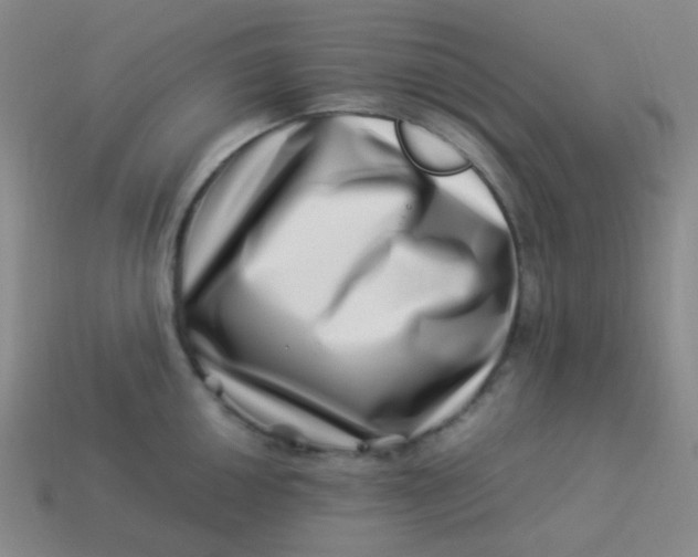 X0000113541050200910091239