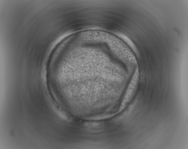 X0000113541051200910091239