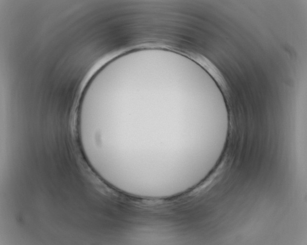 X0000113541052200910091239