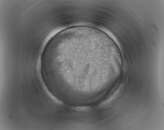 X0000113541053200910091239