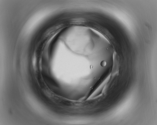 X0000113541054200910091239