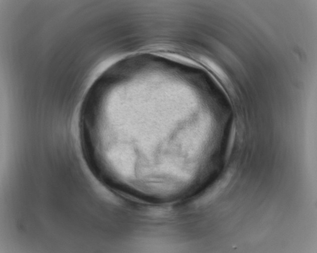 X0000113541055200910091239