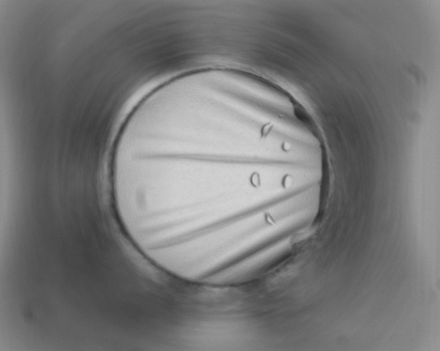 X0000113541056200910091239