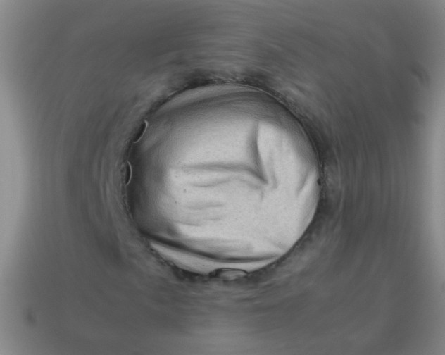 X0000113541057200910091238