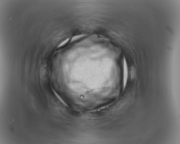 X0000113541059200910091238