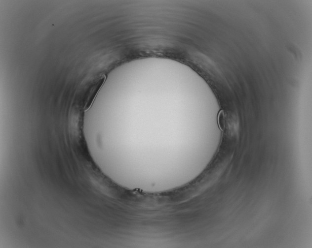 X0000113541060200910091238