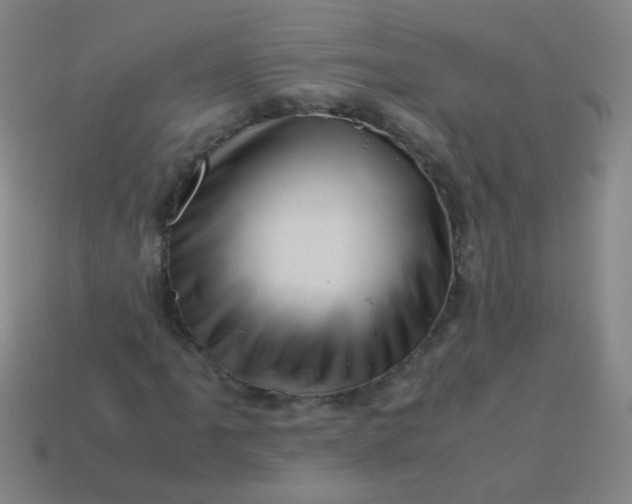 X0000113541061200910091238