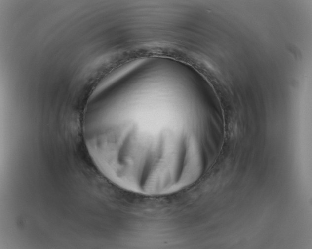 X0000113541062200910091238