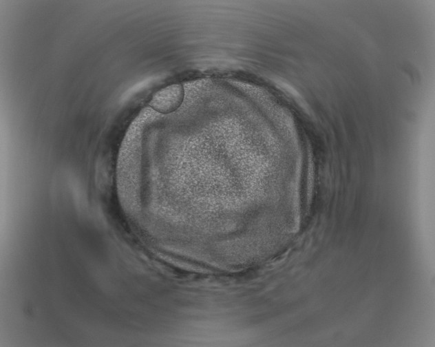 X0000113541063200910091238