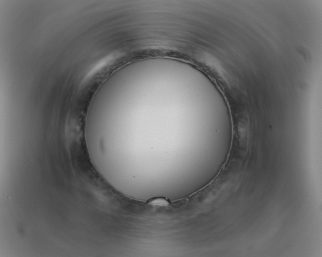 X0000113541064200910091238