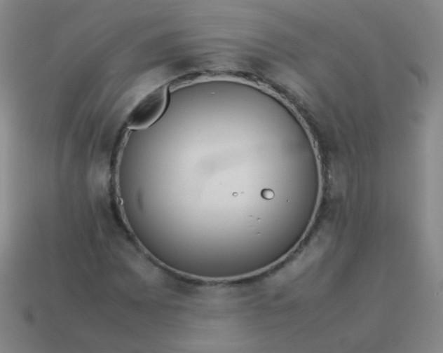 X0000113541065200910091238