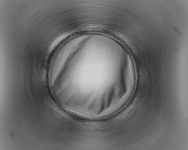 X0000113541066200910091238