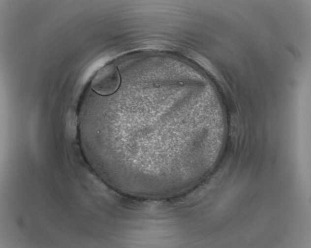 X0000113541067200910091238