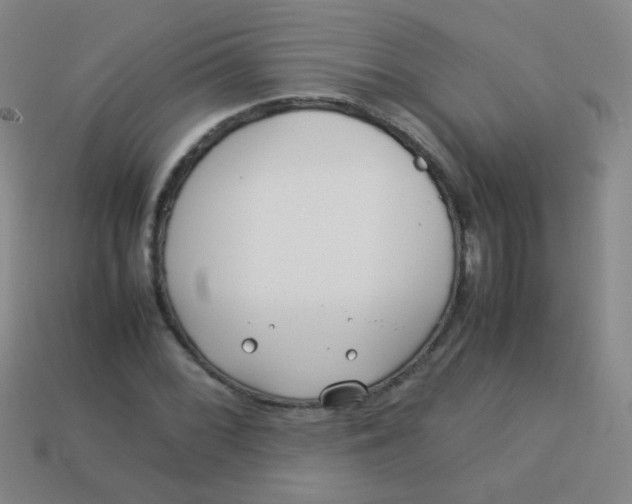 X0000113541068200910091238