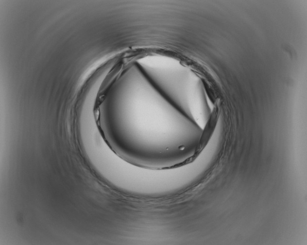 X0000113541069200910091238