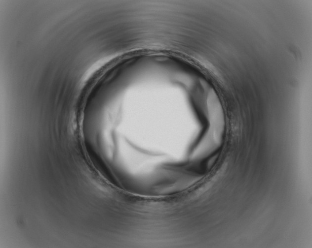 X0000113541070200910091238