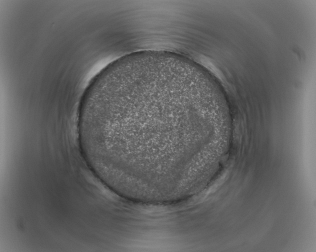 X0000113541071200910091238