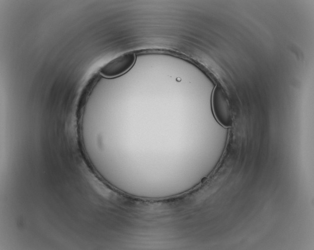 X0000113541072200910091238