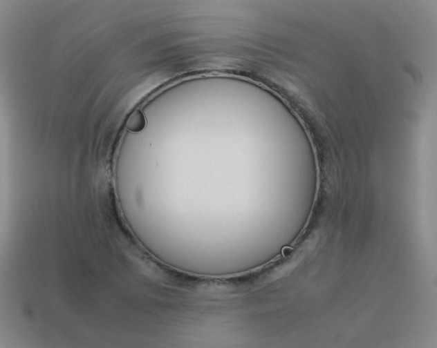 X0000113541073200910091238