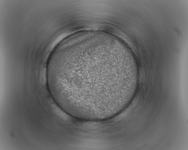 X0000113541075200910091238