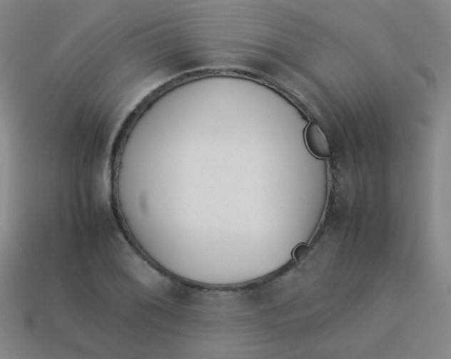 X0000113541076200910091238