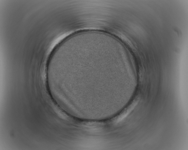 X0000113541077200910091238