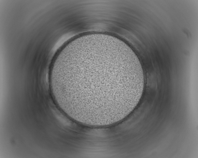 X0000113541078200910091238