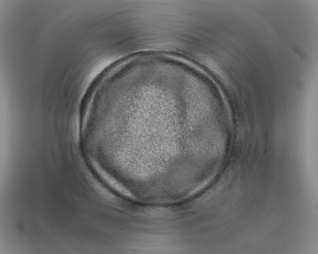 X0000113541079200910091238