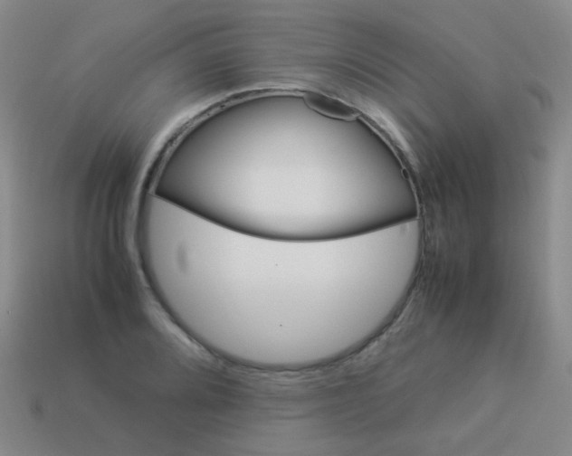 X0000113541080200910091238