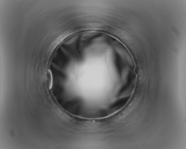 X0000113541081200910091238