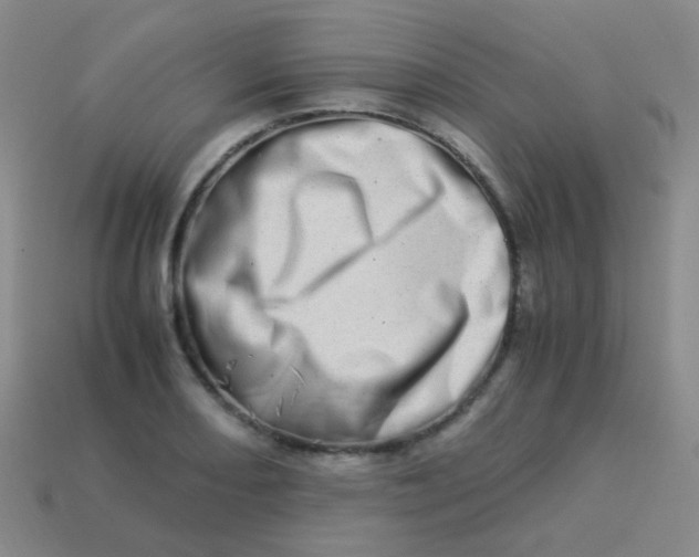 X0000113541082200910091238