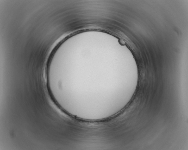 X0000113541084200910091238