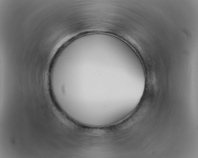 X0000113541085200910091238