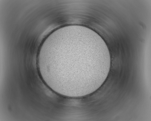 X0000113541086200910091238