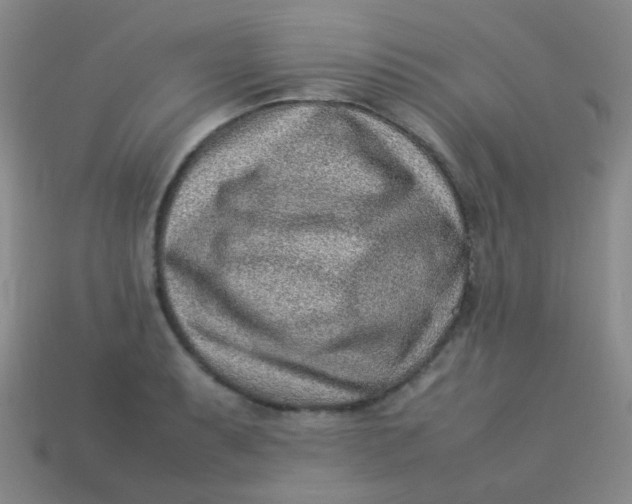 X0000113541087200910091238