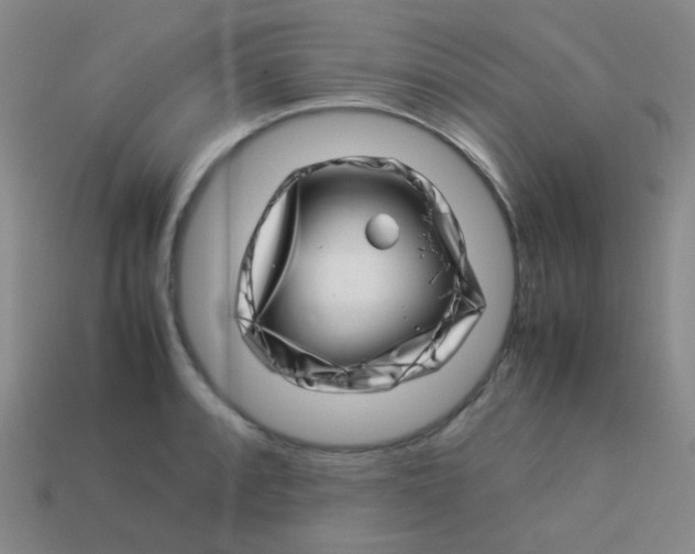 X0000113541088200910091238