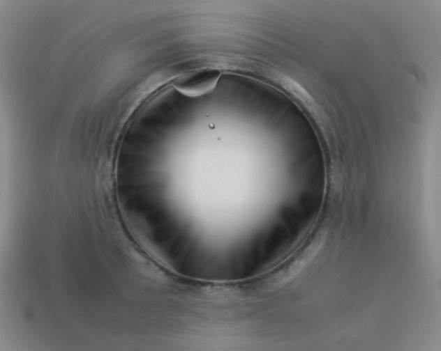 X0000113541089200910091238