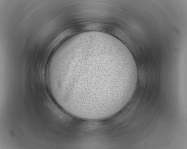 X0000113541090200910091238