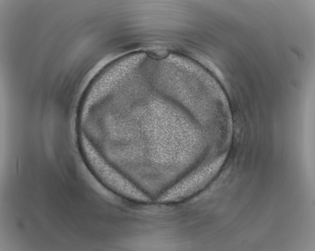 X0000113541091200910091238