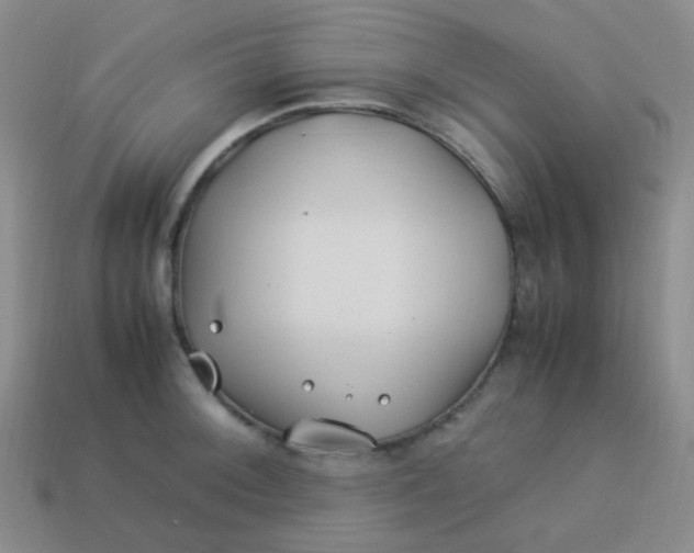 X0000113541092200910091238