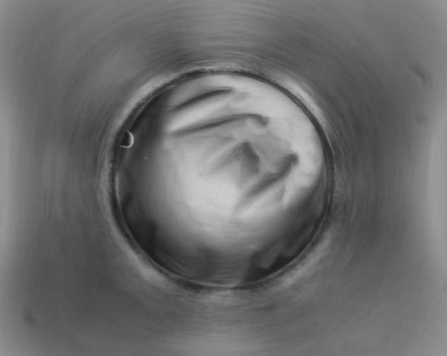 X0000113541093200910091238