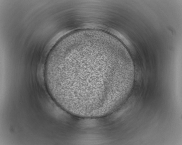 X0000113541094200910091238