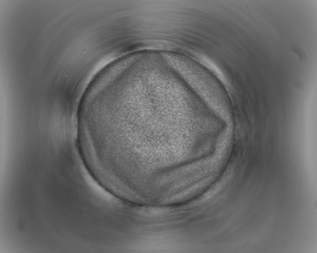 X0000113541095200910091238