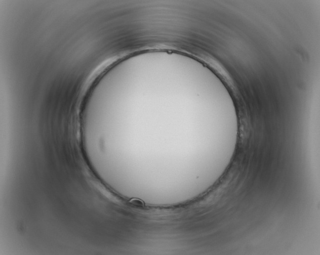 X0000113541096200910091238