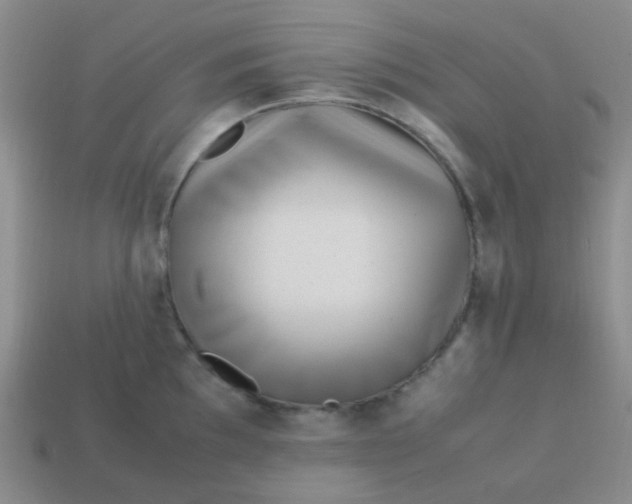 X0000113541097200910091238