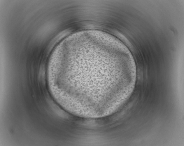 X0000113541098200910091238