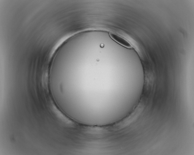 X0000113541100200910091238