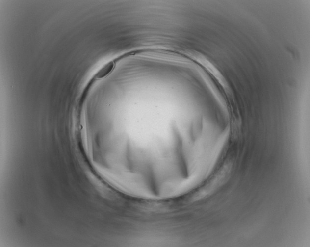 X0000113541101200910091238